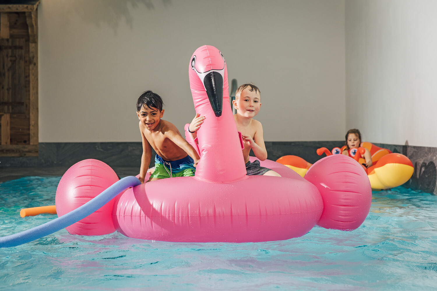 Two boys splashing around on an inflatable flamingo bathing island.