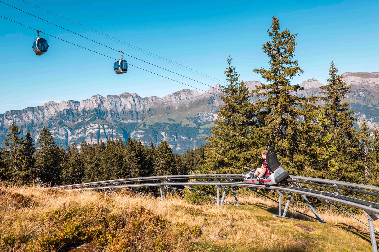 Eine Person fährt an einem sonnigen Tag mit einer Bergachterbahn, umgeben von Kiefern und einer malerischen Aussicht auf zerklüftete Berge und Seilbahnen unter strahlend blauem Himmel.