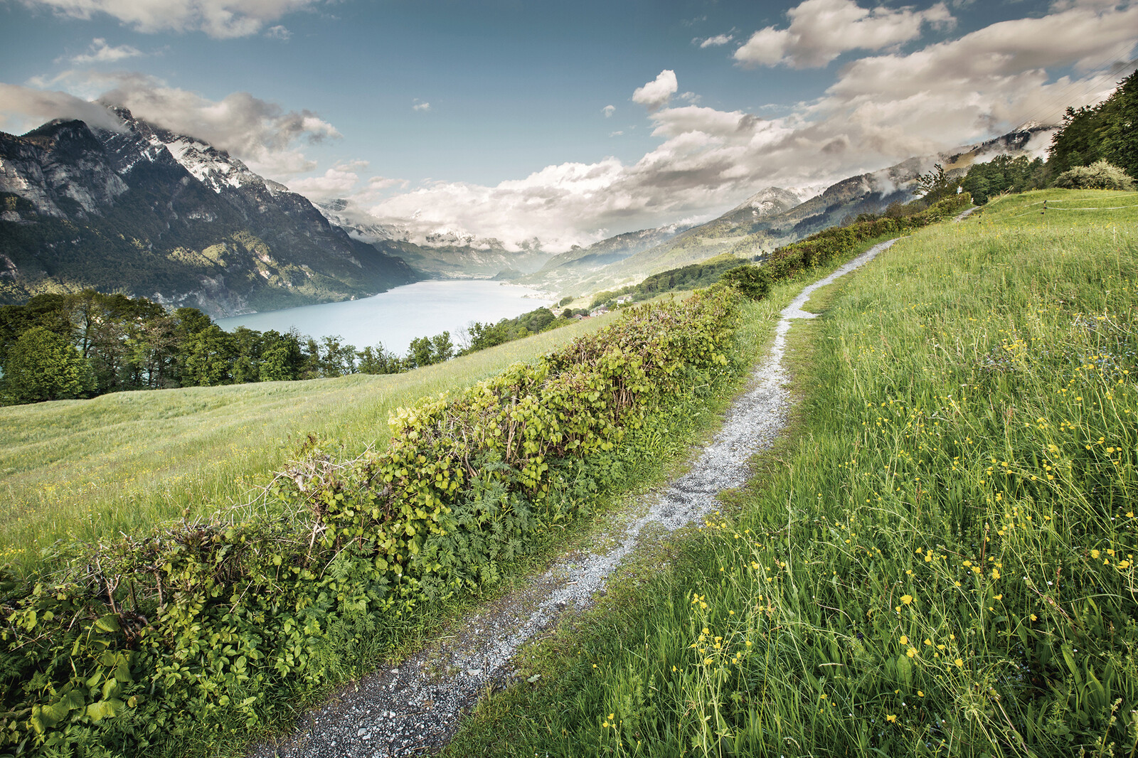Ein Wanderweg führt durch grüne Wiesen, blaue Seen und schneebedeckte Berge.