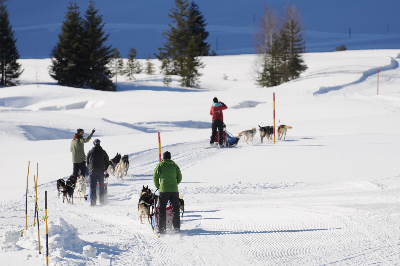 © Huskystuff - Gäste fahren mit Huskyschlitten durch eine zauberhafte Winterlandschaft