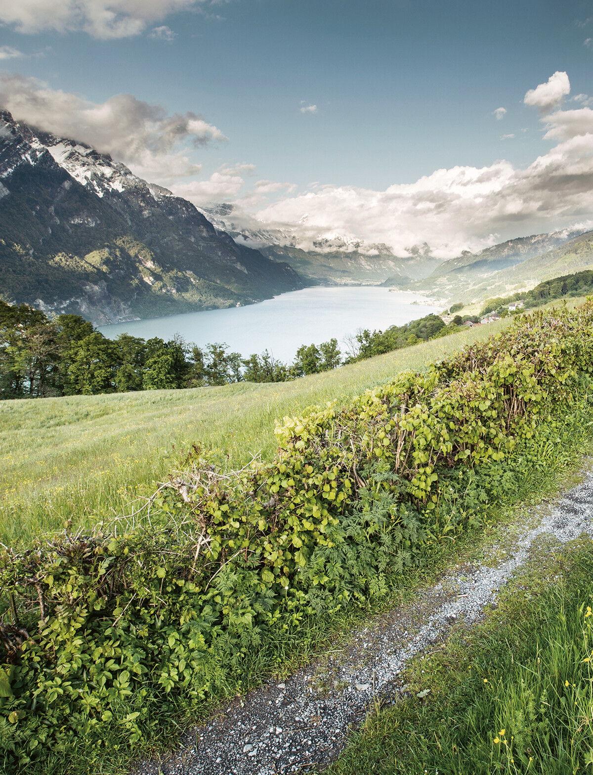 Blick von einem Wanderweg auf den Walensee in der Ferne mit Bergen auf der linken Seite.